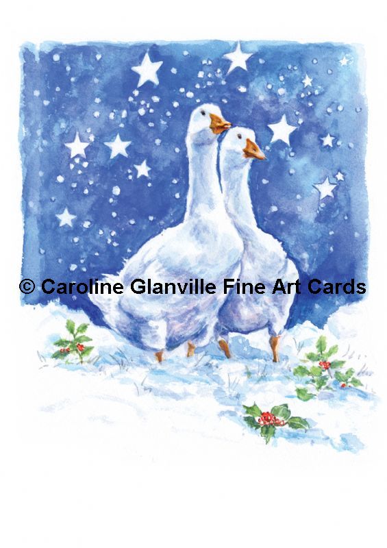 snow geese stars christmas, painting by Caroline Glanville