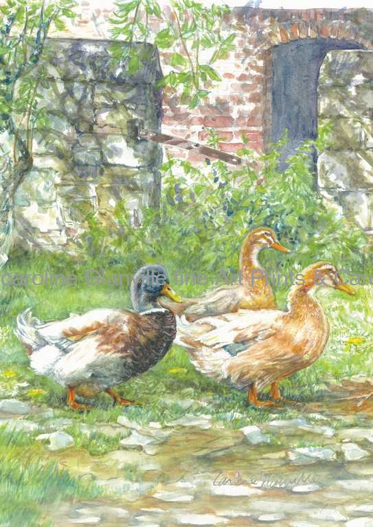 ducks and drake, painting by Caroline Glanville